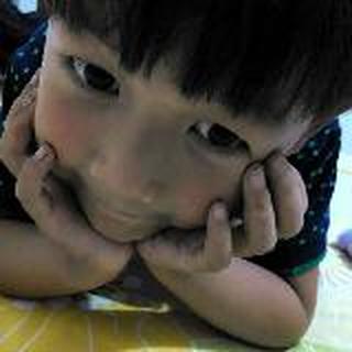 An 薇薇安D鱼