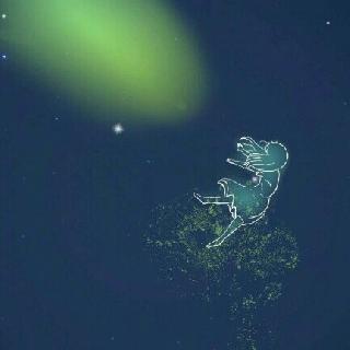 sgk_m_1443931320646
