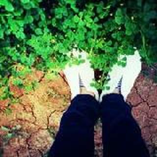 7orever777