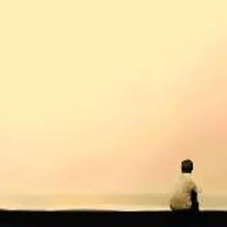 爱吃牛奶柚子的抹茶猫