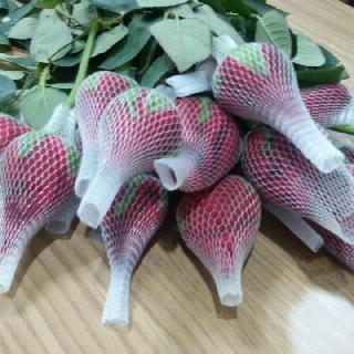 馨欣