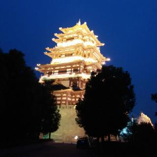 文琴595324