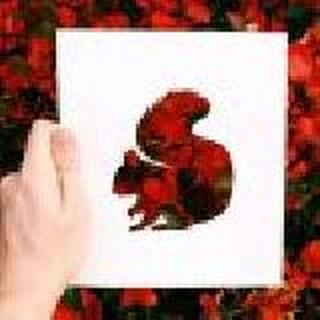 sunshine ＆蓝莓的心愿