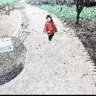 俩个宝贝疙瘩