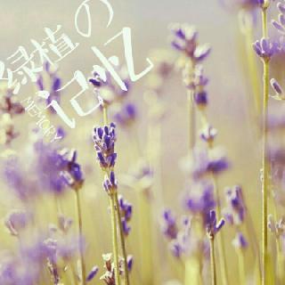 你好碍眼♚ 