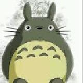 风再起