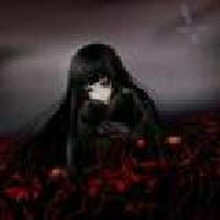 ★黑色★流浪猫★