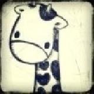 一朵名叫Tina的花