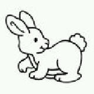 小灰兔 🐰