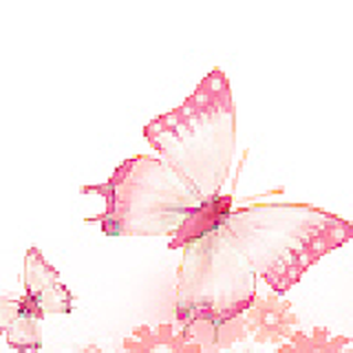 Poison丶寶 ⋌⊰⋌⋚﹉♥︶