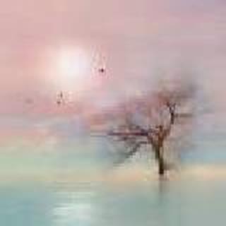 荏苒岁月，落叶随风