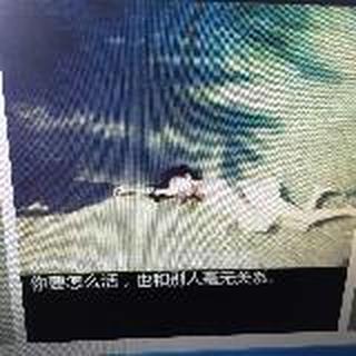 偶紫清音