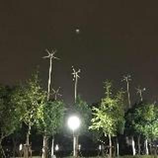 谢晓冬