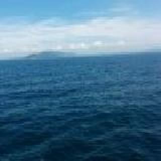 沐阳