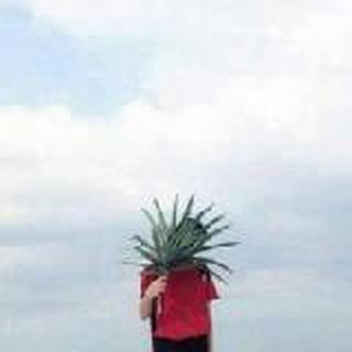 瞎子变成了哑巴