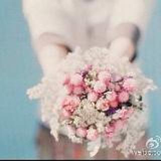 多dream少