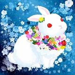 Miss 兔🐰