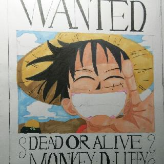 9号君