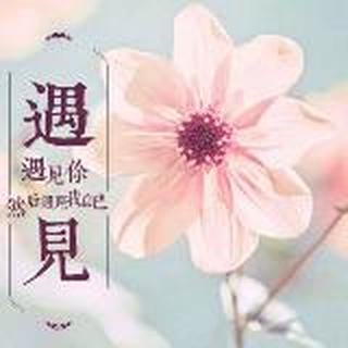 简简单单