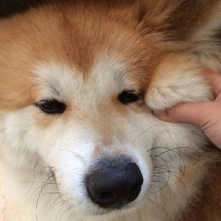 匆匆~