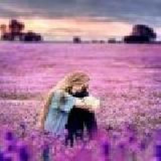 浅水菇凉柠檬泪i