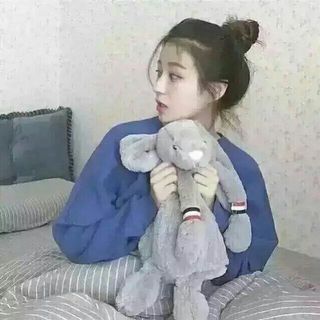 樱花雨梦