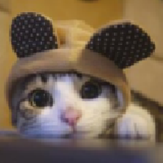  变身吧小猫