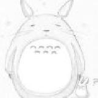 Chinchilla