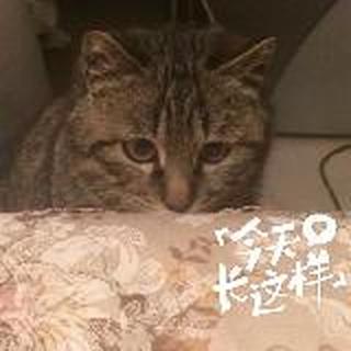 等一个人变成一家人