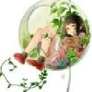 鸾夜鹛