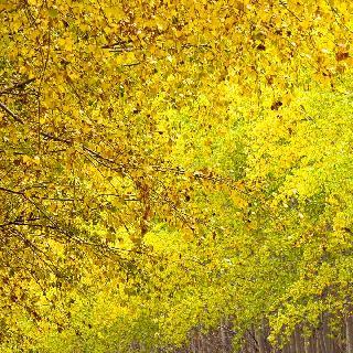 云朵上的小公主