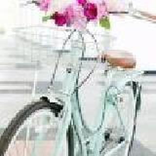 七月茶花为谁挽纱