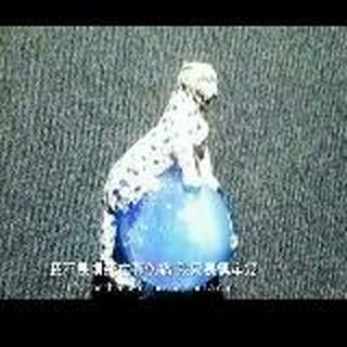 狮子妹小窝