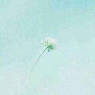 sgk_m_1462876681265