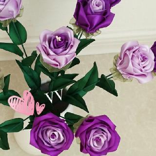 VV
