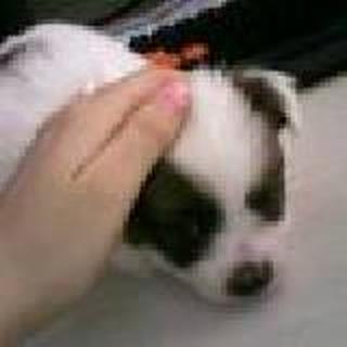 咫想与你十指紧扣