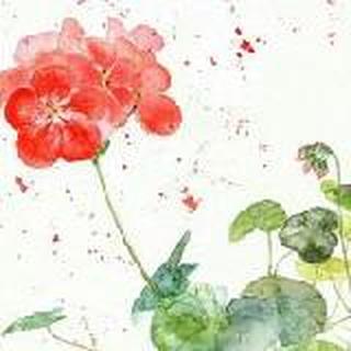 璃陌柒染sun