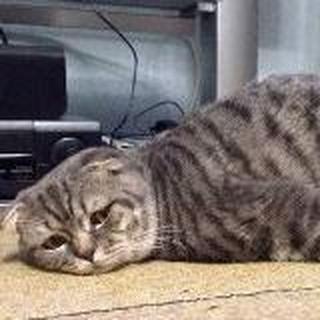 间歇性踌躇满志，持续性混吃等死。
