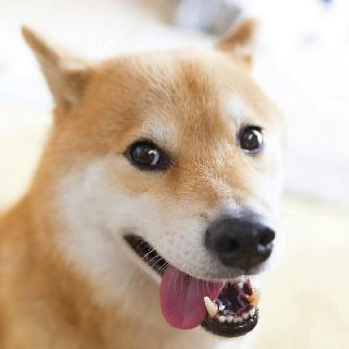 七招不易