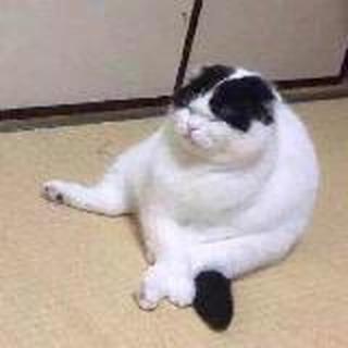 Alexandria ZHI👐🏻