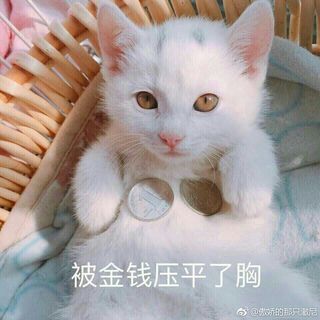 小哥的连衫帽