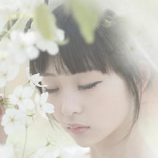 冰心Love