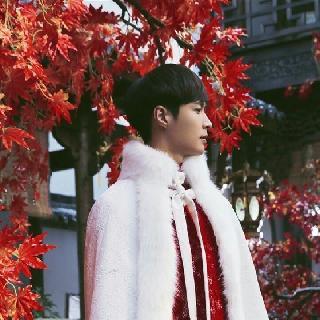 清晨的小鹿
