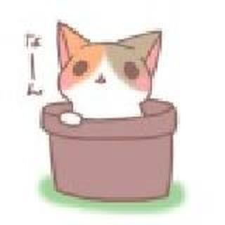 凉、