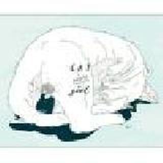 ♪スソ初夏雨陌♬♪