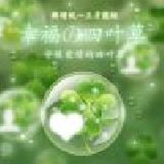 四叶草的约定。@