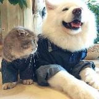 陪伴是最长情的告白。