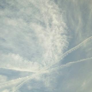 sgk_m_147002822830