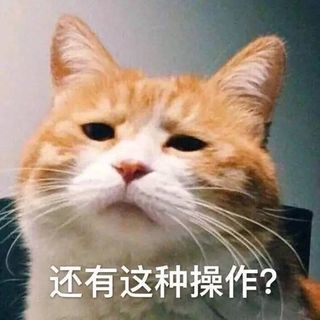 彭砰砰氣氛剛好