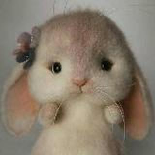 🐰
